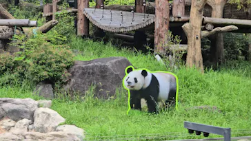 上野動物園 ハシビロカートに投稿された画像（2026/9/5）