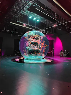 AQUARIUM × ART　atoaに投稿された画像（2026/9/5）