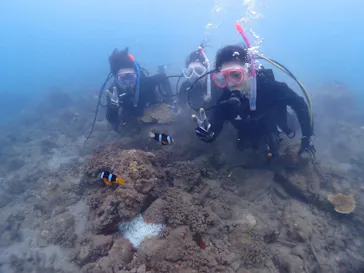 ARK Diving Shop 串本店に投稿された画像（2026/9/5）