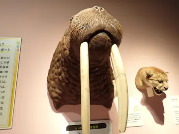 特別展「いきもの超ワールド展　国立科学博物館×ダーウィンが来た！」（国立科学博物館）に投稿された画像（2026/9/5）