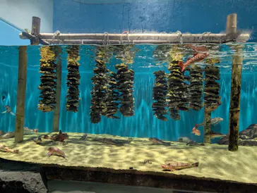 仙台うみの杜水族館に投稿された画像（2026/9/5）