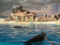 名古屋港水族館に投稿された画像（2026/9/5）