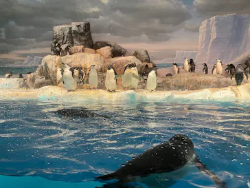 名古屋港水族館に投稿された画像（2026/9/5）