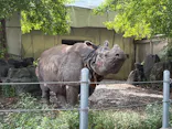 名古屋市東山動植物園に投稿された画像（2026/9/6）