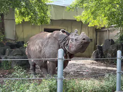 名古屋市東山動植物園に投稿された画像（2026/9/6）