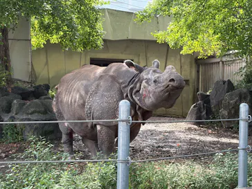 名古屋市東山動植物園に投稿された画像（2026/9/6）