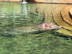 名古屋市東山動植物園に投稿された画像（2026/9/6）