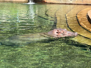 名古屋市東山動植物園に投稿された画像（2026/9/6）