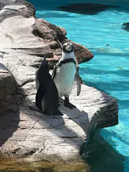 名古屋市東山動植物園に投稿された画像（2026/9/6）
