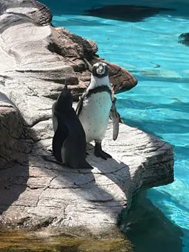 名古屋市東山動植物園に投稿された画像（2026/9/6）