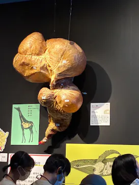 特別展「いきもの超ワールド展　国立科学博物館×ダーウィンが来た！」（国立科学博物館）に投稿された画像（2026/9/6）
