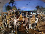 福井県立恐竜博物館に投稿された画像（2026/9/6）