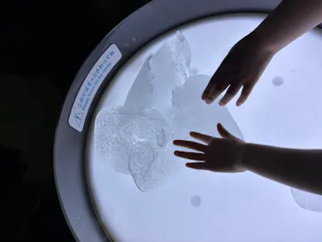 大南極展に投稿された画像（2026/9/6）