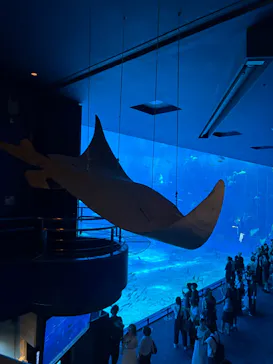 沖縄美ら海水族館に投稿された画像（2026/9/6）