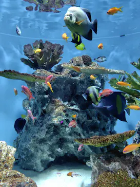 葛西臨海水族園に投稿された画像（2026/9/6）