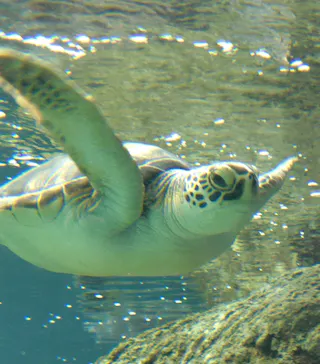 葛西臨海水族園に投稿された画像（2026/9/6）
