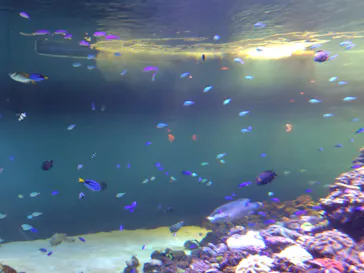 葛西臨海水族園に投稿された画像（2026/9/6）