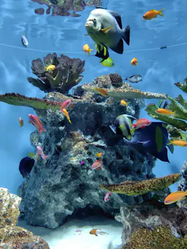 葛西臨海水族園に投稿された画像（2026/9/6）