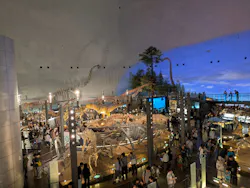 福井県立恐竜博物館に投稿された画像（2026/9/6）