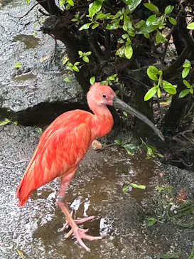 伊豆シャボテン動物公園に投稿された画像（2026/9/6）
