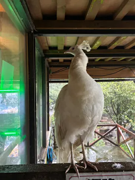 伊豆シャボテン動物公園に投稿された画像（2026/9/6）