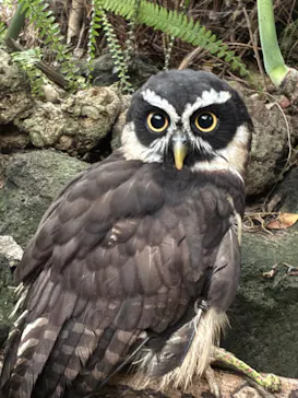 伊豆シャボテン動物公園に投稿された画像（2026/9/6）