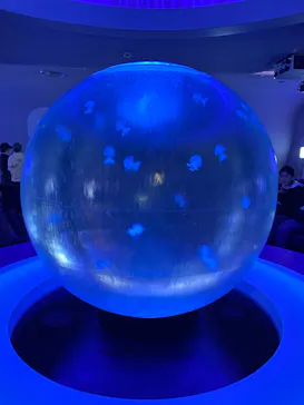 新江ノ島水族館に投稿された画像（2026/9/6）