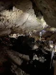 福井県立恐竜博物館に投稿された画像（2026/9/6）