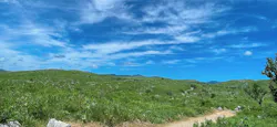 福井県立恐竜博物館に投稿された画像（2026/9/6）