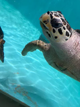仙台うみの杜水族館に投稿された画像（2026/9/6）