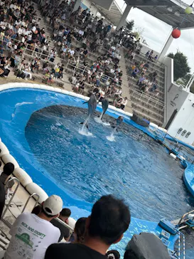 仙台うみの杜水族館に投稿された画像（2026/9/6）