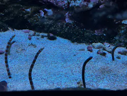 サンシャイン水族館に投稿された画像（2026/9/6）