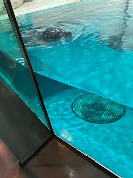 大分マリーンパレス水族館 「うみたまご」に投稿された画像（2026/9/6）