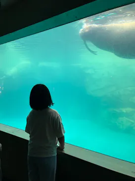 大分マリーンパレス水族館 「うみたまご」に投稿された画像（2026/9/6）