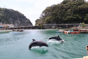 下田海中水族館に投稿された画像（2026/9/6）