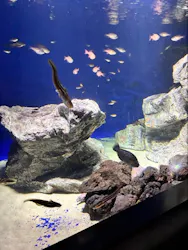 サンシャイン水族館に投稿された画像（2026/9/6）