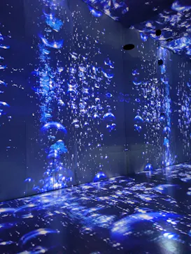 MIRACLE WORLD OSAKAに投稿された画像（2026/9/6）