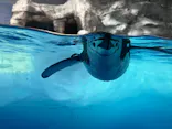 名古屋港水族館に投稿された画像（2026/9/6）