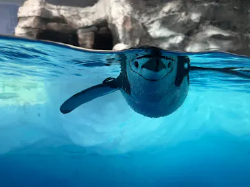 名古屋港水族館に投稿された画像（2026/9/6）