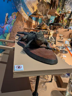 特別展「いきもの超ワールド展　国立科学博物館×ダーウィンが来た！」（国立科学博物館）に投稿された画像（2026/9/6）
