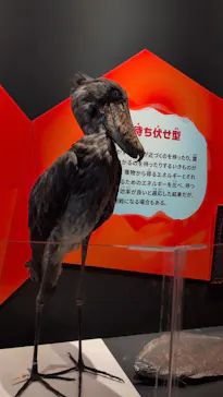 特別展「いきもの超ワールド展　国立科学博物館×ダーウィンが来た！」（国立科学博物館）に投稿された画像（2026/9/6）
