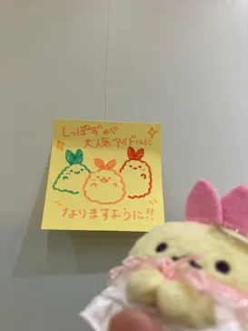 すみっコぐらし わくわくパーク～みんなでつくる にじいろのおもいで～に投稿された画像（2026/9/6）