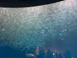 名古屋港水族館に投稿された画像（2026/9/6）