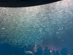 名古屋港水族館に投稿された画像（2026/9/6）
