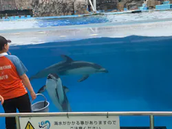 名古屋港水族館に投稿された画像（2026/9/6）