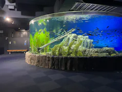 サケのふるさと 千歳水族館に投稿された画像（2026/9/6）