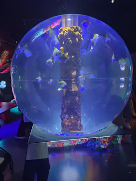 広島もとまち水族館に投稿された画像（2026/9/6）