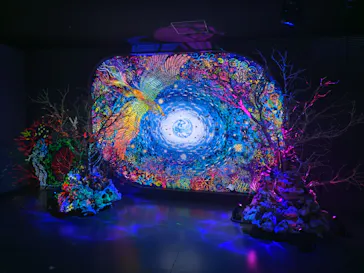 広島もとまち水族館に投稿された画像（2026/9/6）