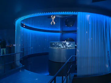 広島もとまち水族館に投稿された画像（2026/9/6）