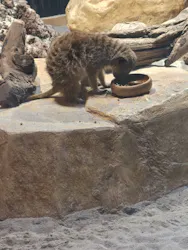 広島もとまち水族館に投稿された画像（2026/9/6）